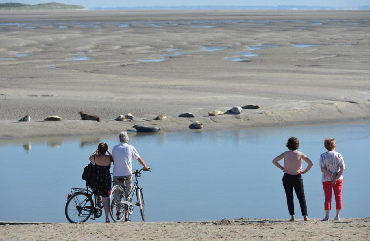 Surf Vue Mer 100M Plage Berck 외부 사진